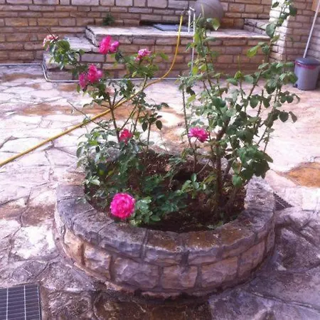 Belak * Brodarica (Sibenik-Knin)