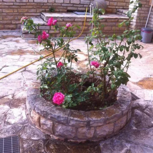 Belak * Brodarica (Sibenik-Knin)